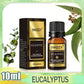 10ml Water Soluble Essential Oils for Humidifier Diffuser Perfume Oil Candles Orange Eucalyptus Fragrance Oil Lavender Aroma Oil - 10ml / EUCALYPTUS